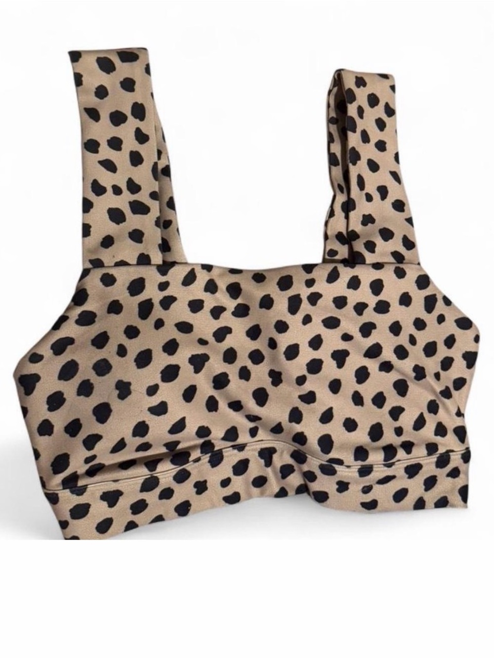 Gilly Hicks Leopard Print Square-Neck Crop Top - Beige & Black